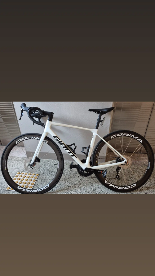 자이언트 tcr 25년식